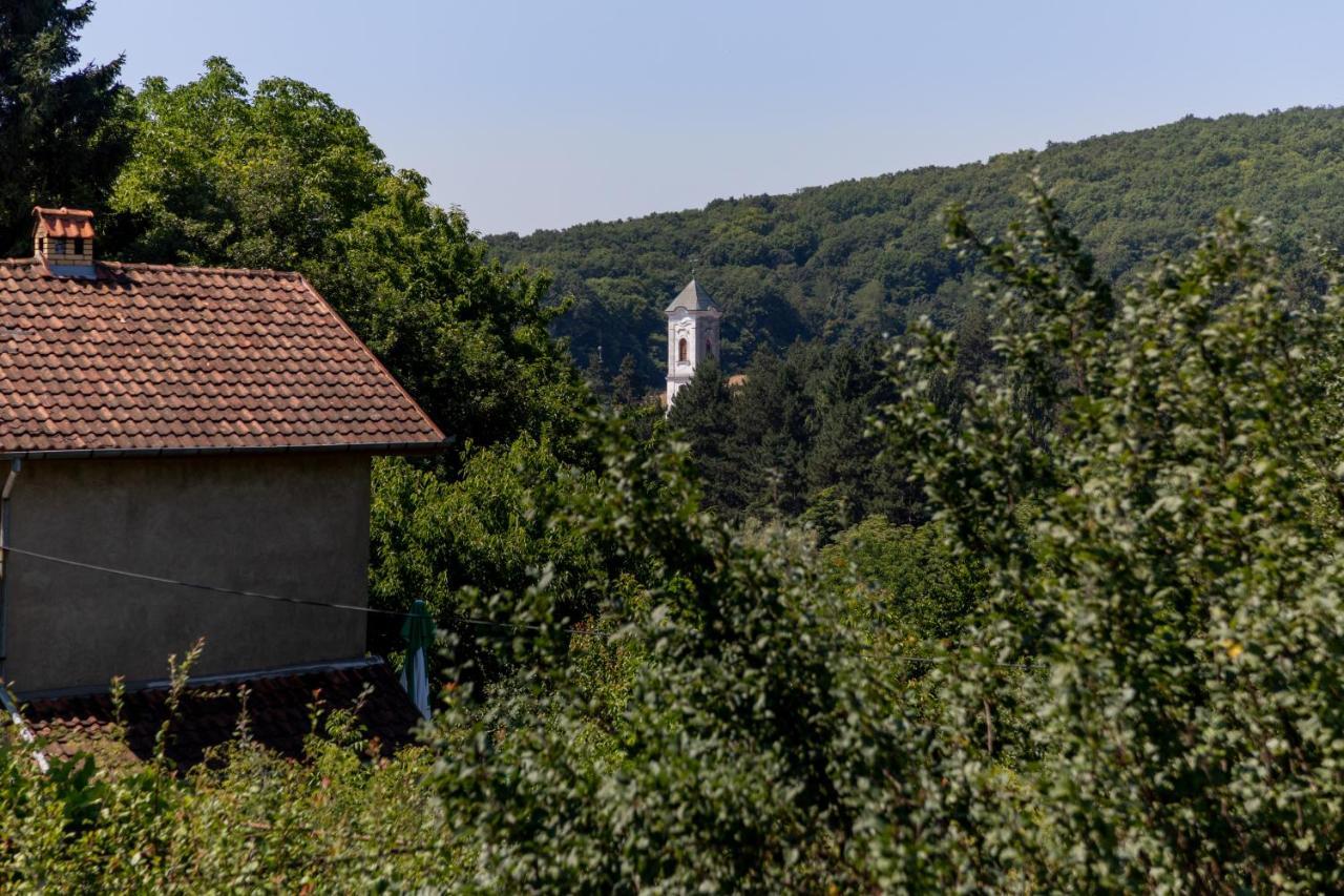 Mi Casa 2 * Vrdnik